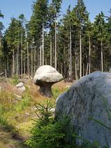 Na szlaku skalnych grzybów
